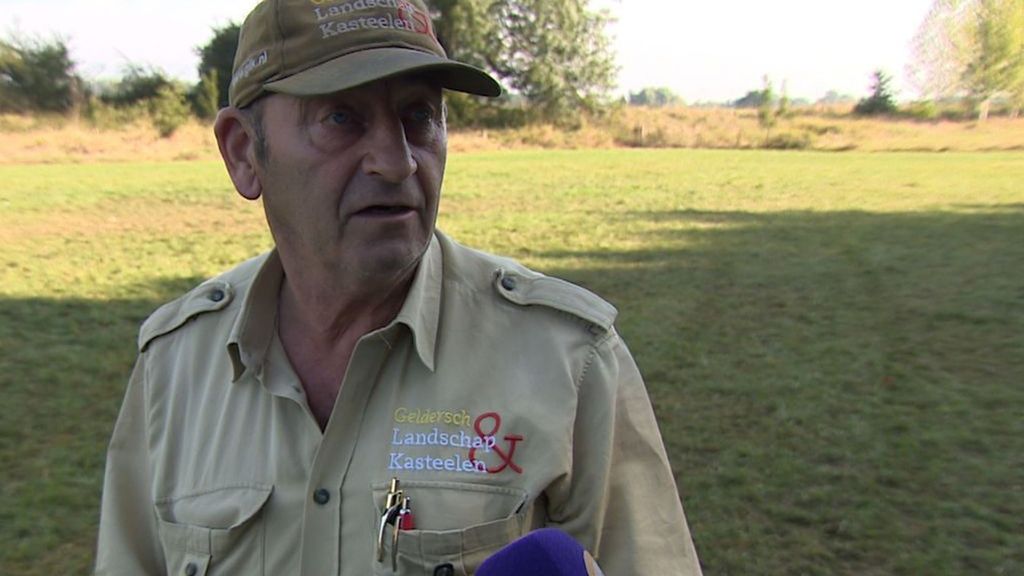 Illegaal feesten langs de Waal gebeurt vaker volgens boswachter - RN7