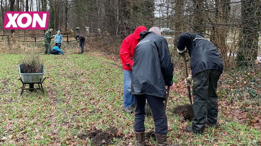 Voedselbos Rhenen wordt 22 maart officieel geopend