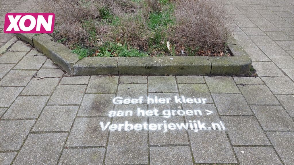 Veenendaal zoekt inwoners die kleur willen geven aan het groen