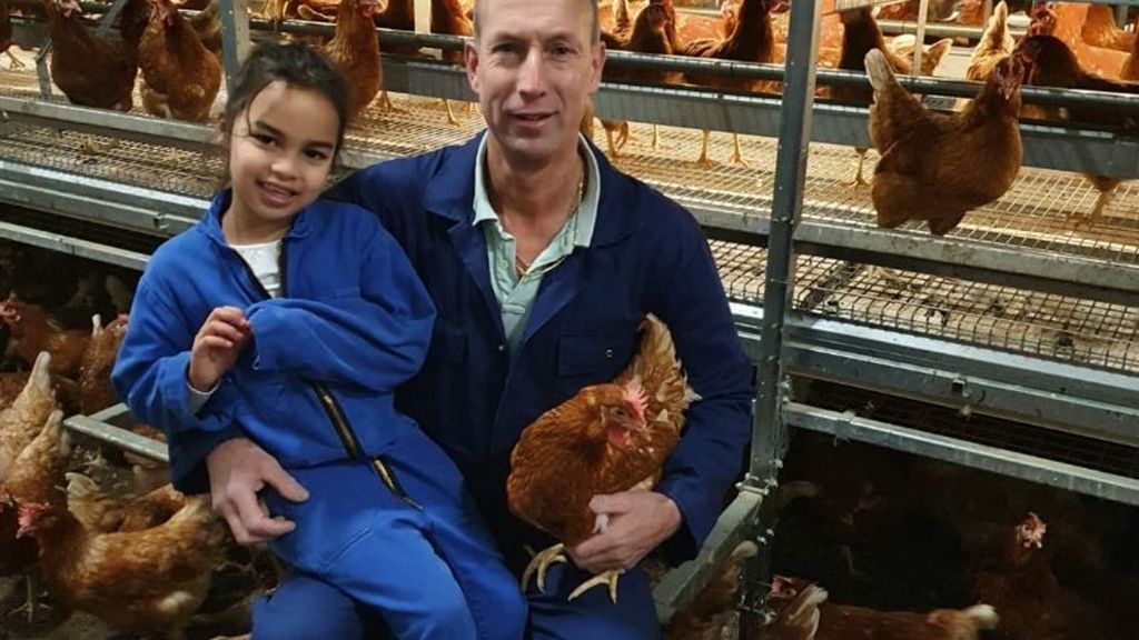 Chickfriend-eigenaren voor de rechter: 'Van een kale kip kun je niet