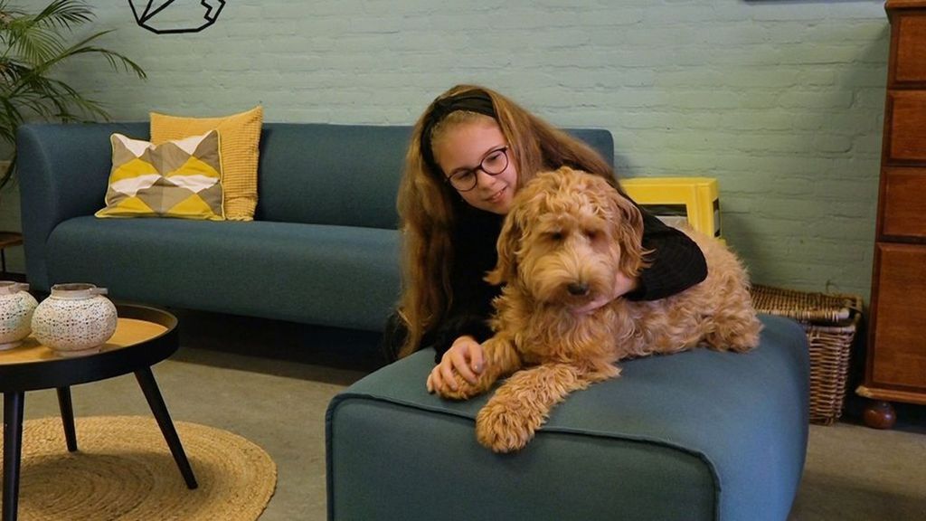 Labradoodle Charlie troost de kinderen op school. Foto: Omroep Gelderland Labradoodle Charlie troost de kinderen op school. Foto: Omroep Gelderland