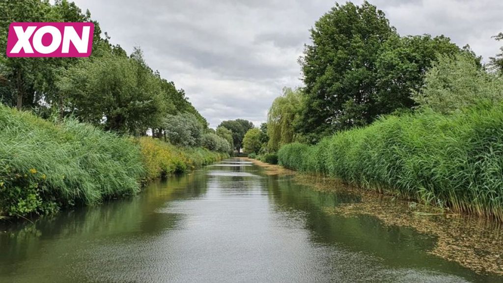 Partij voor de Dieren organiseert Valleikanaal Cleanup