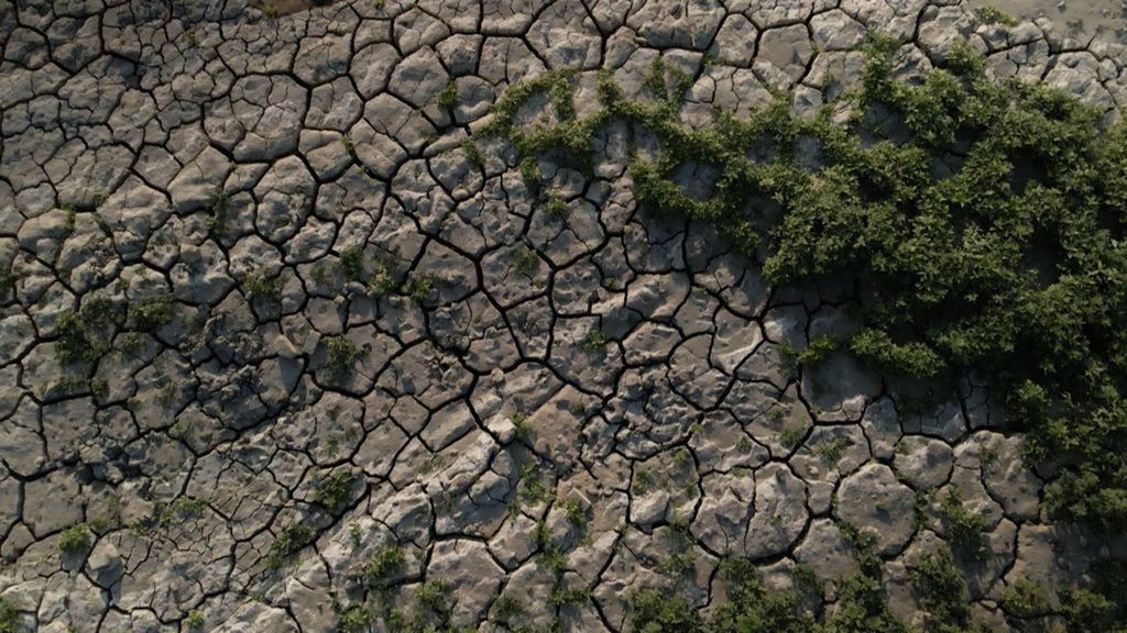 De oevers van de Waal zijn nu soms al kurkdroog. Foto: Omroep Gelderland De oevers van de Waal zijn nu soms al kurkdroog. Foto: Omroep Gelderland