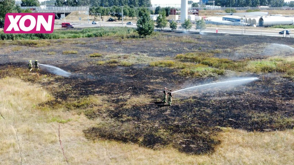 Gras verwoest vanwege brand op braakliggend terrein in Ede