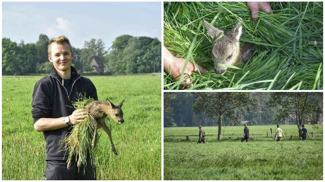 Familie Kutterik redt reekalveren uit graslanden