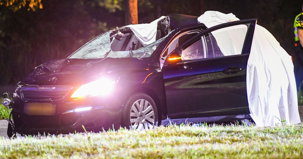 De verplaatsbare flitspalen langs de Rotterdamsebaan in Den Haag en de Oranje…