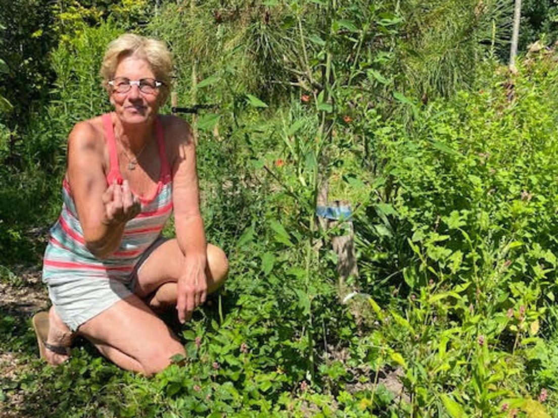 Ineke van Dort in het voedselbos Dorpstuin Rozenburg