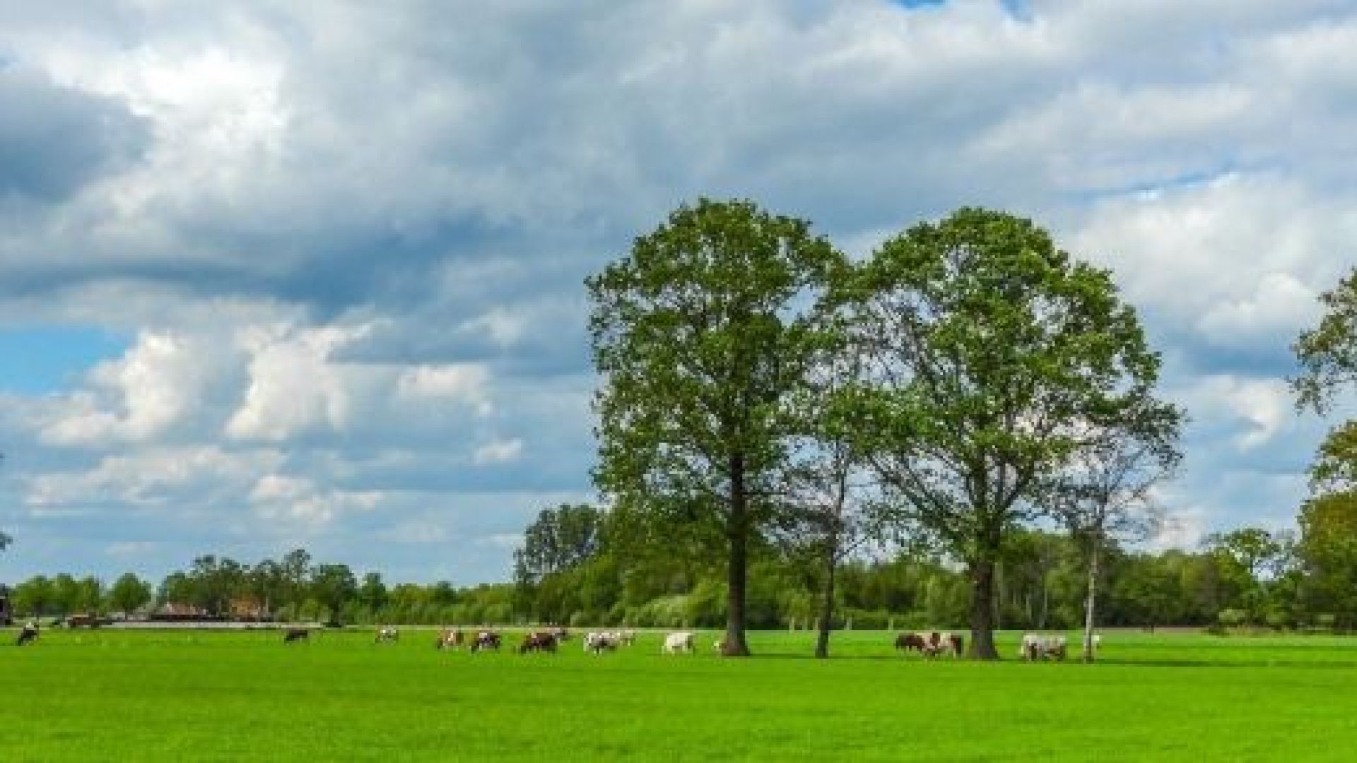 Pilot innovatieve woonconcepten buitengebied verlengd tot 1 januari 2027.