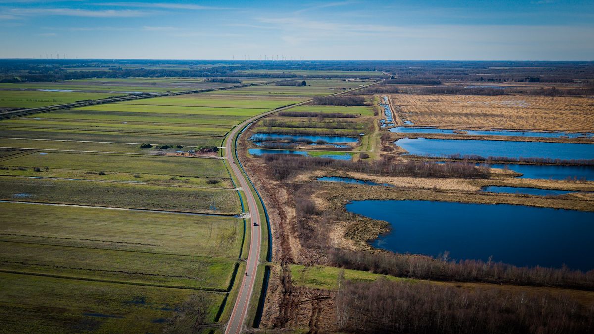Bargerveen krijgt nieuwe waterbuffer om hoogveen te beschermen, deel wandel- en fietspaden voorlopig