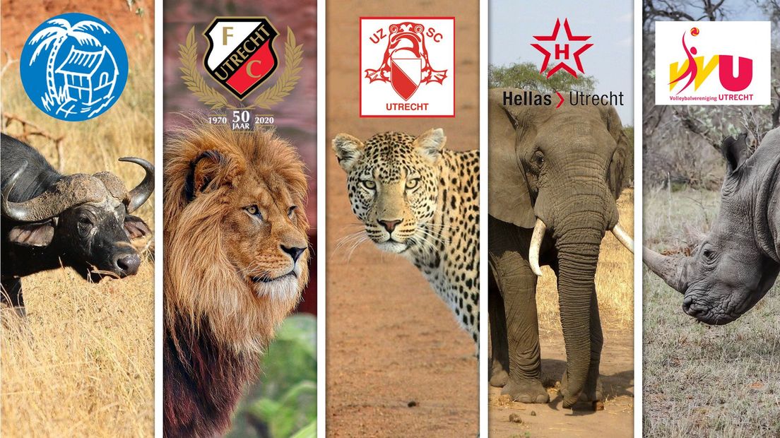 Kampong, FC Utrecht, UZSC, Hellas en VV Utrecht, afgebeeld als de Big Five
