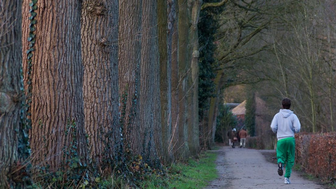 Sporten en afvallen hoort nog altijd bij onze goede voornemens.