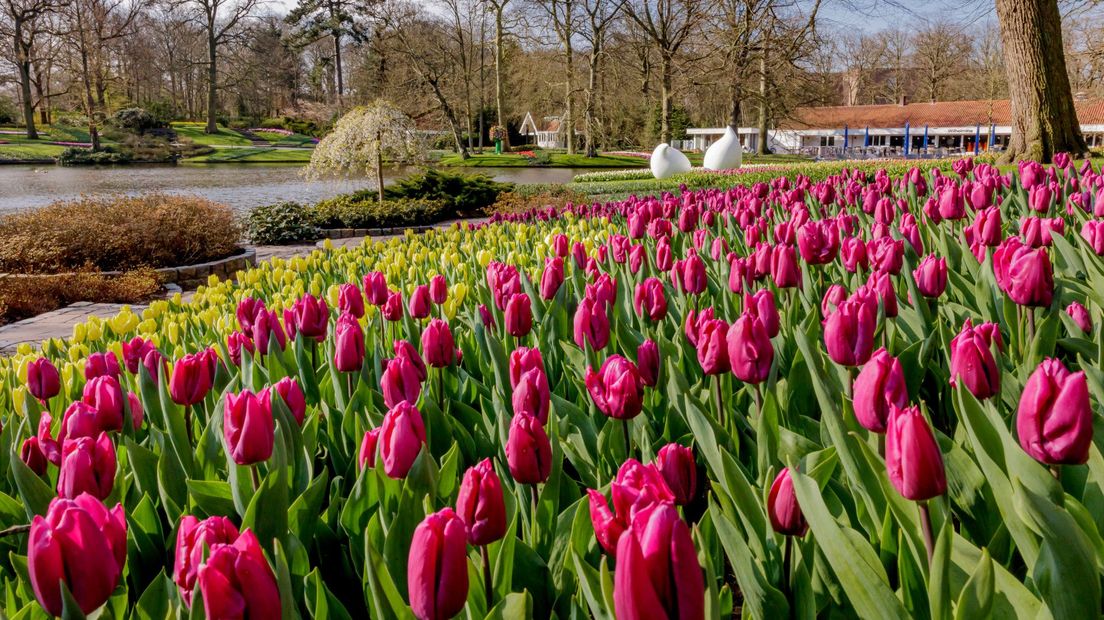 Het park ligt er volgens de directeur 'prachtig' bij