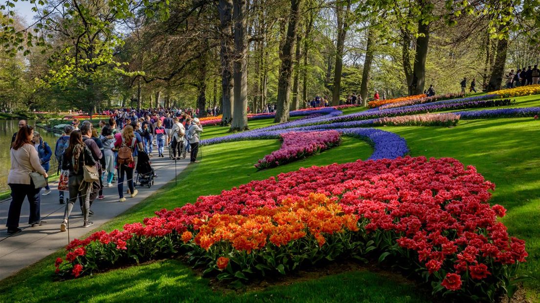 Bezoekers vergapen zich aan de kleurrijke bloemen 