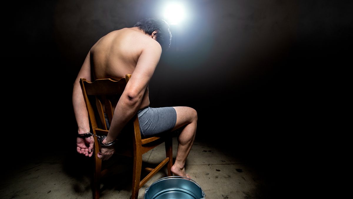 Ontvoering en extreem geweld in Hoogvliet: ‘Moeten we hem doodschieten?’