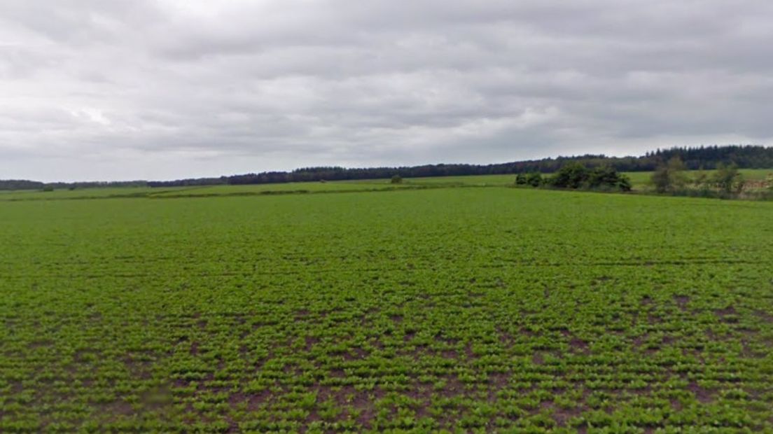 Een akker tussen Nieuw-Balinge en Nieuweroord (Rechten: Google Streetview)