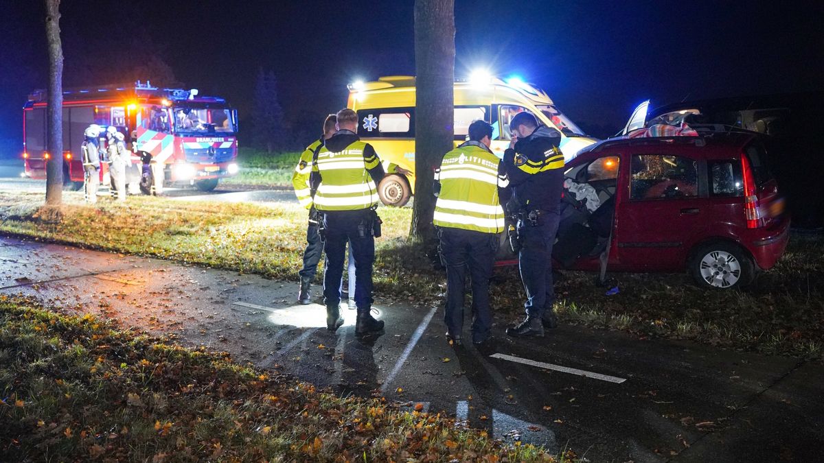 Bestuurder gewond bij botsing tegen boom in Peize