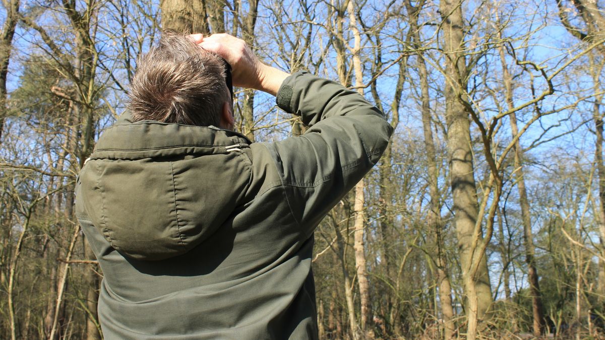 Wat is er dit weekend te doen in Drenthe?