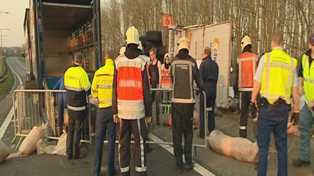 Bijna 150 varkens dood bij ongeval