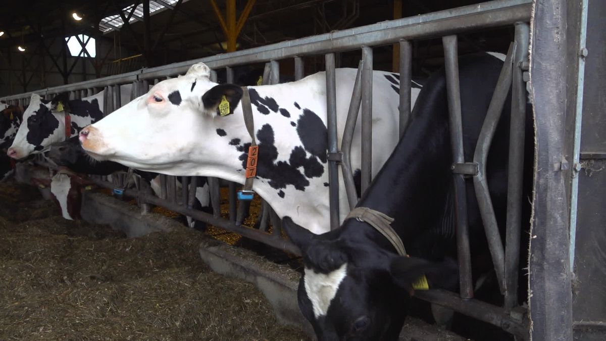 Landbouwminister Jaimi van Essen op werkbezoek bij melkveehouderij Engberts in Markelo