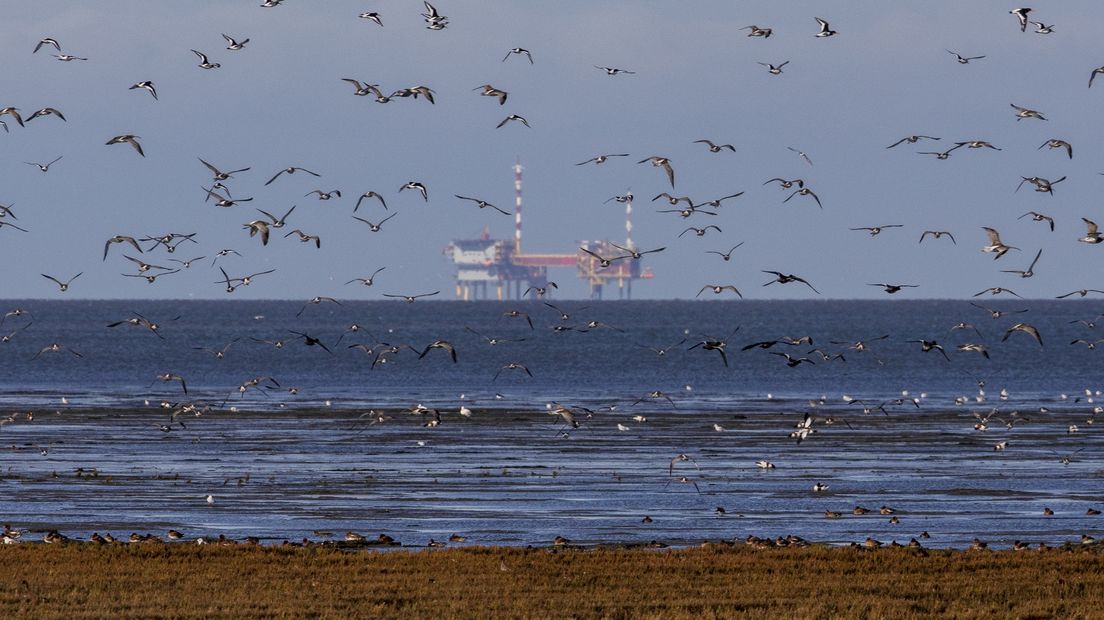 Op de achtergrond een aardgasproductieplatform van de NAM op de Noordzee