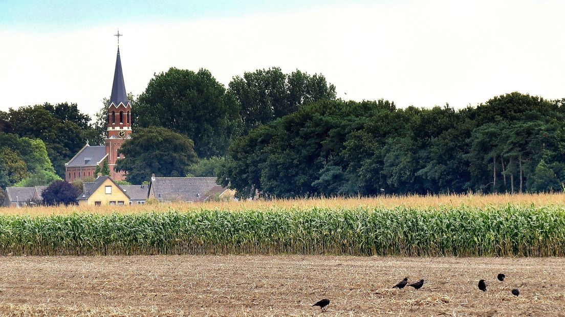 Clinge in Zeeuws-Vlaanderen