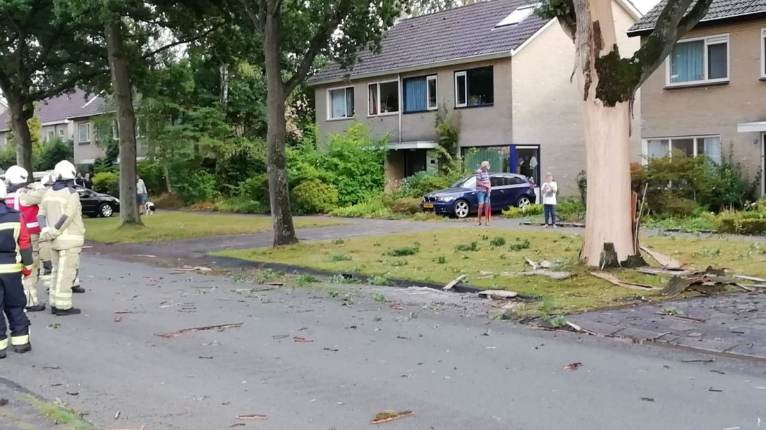 De bliksem liet weinig van de eikenboom over (Rechten: Van Oost Media)