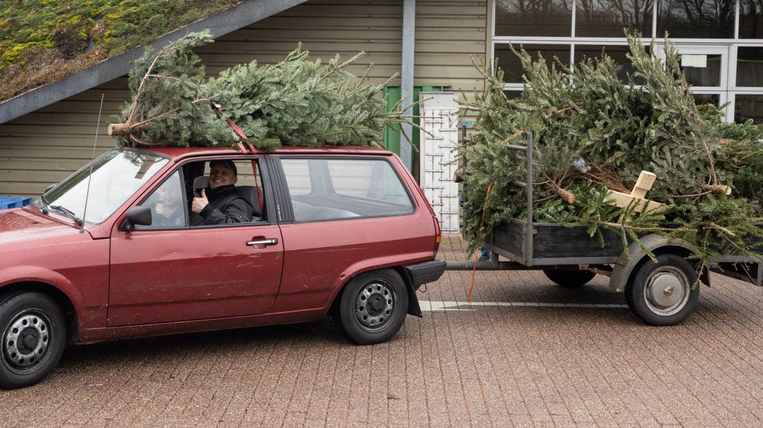 Ook met de auto werden kerstbomen weggebracht