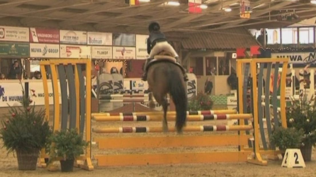 Pony Indoor concours in Wierden