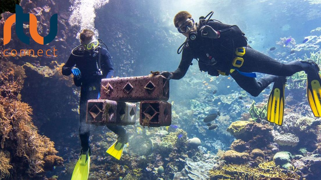 Duikers plaatsen het nieuwe 'koraal' in het aquarium