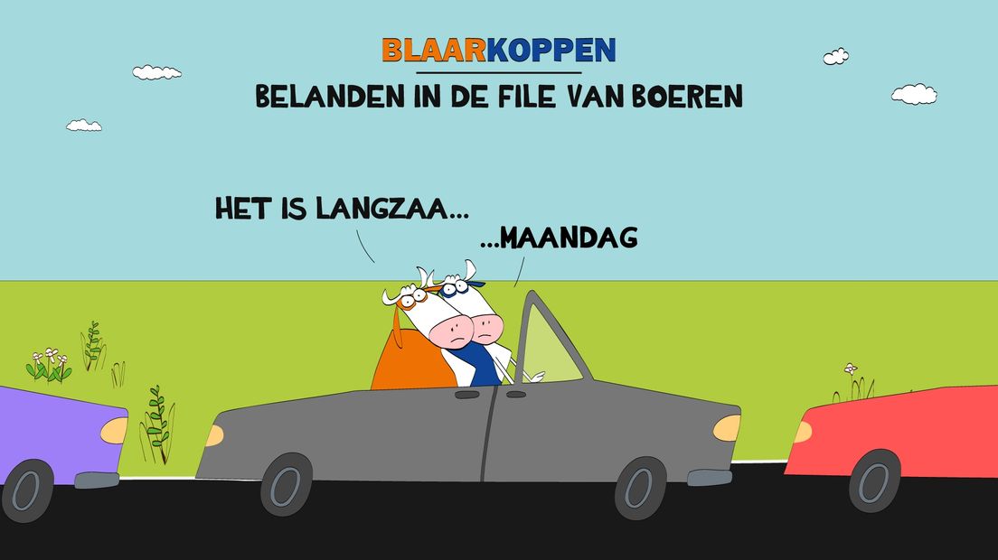 Blaarkoppen