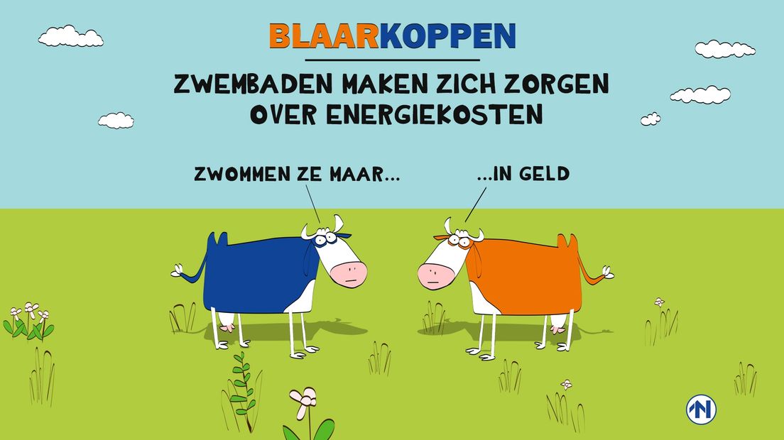 Blaarkoppen