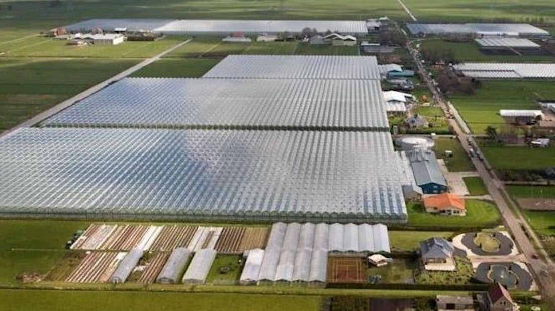 Tuinders in de Koekoekspolder