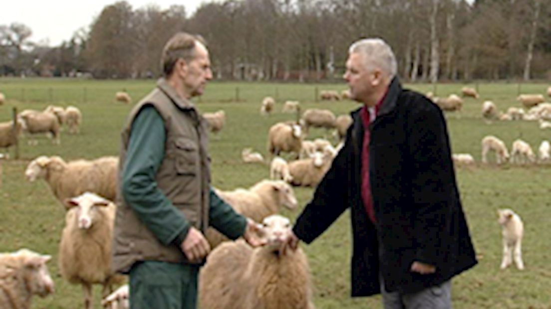 Nieuwe Afleveringen Boeren Burgers Buitenlui - RTV Oost