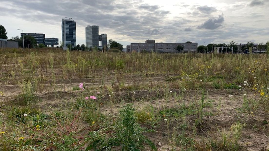 Bedrijventerrein Voorsterpoort in Zwolle