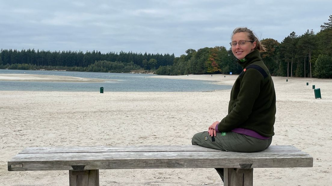 Staatsbosbeheer kijkt met goed gevoel terug op zomer vol veranderingen in 't Gasselterveld - RTV Dre