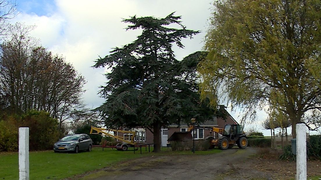 De grootste kerstboom van Noord-Beveland