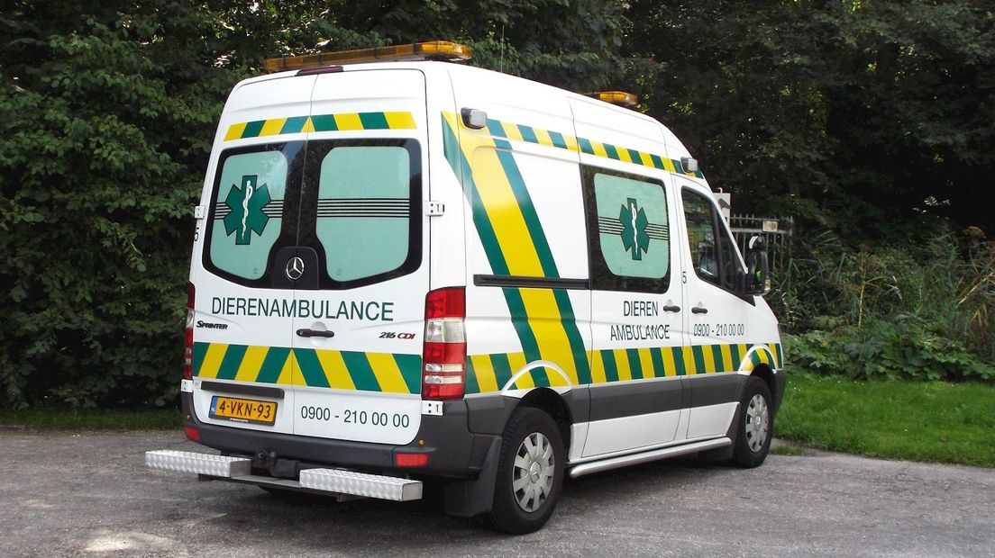 Dierenambulance