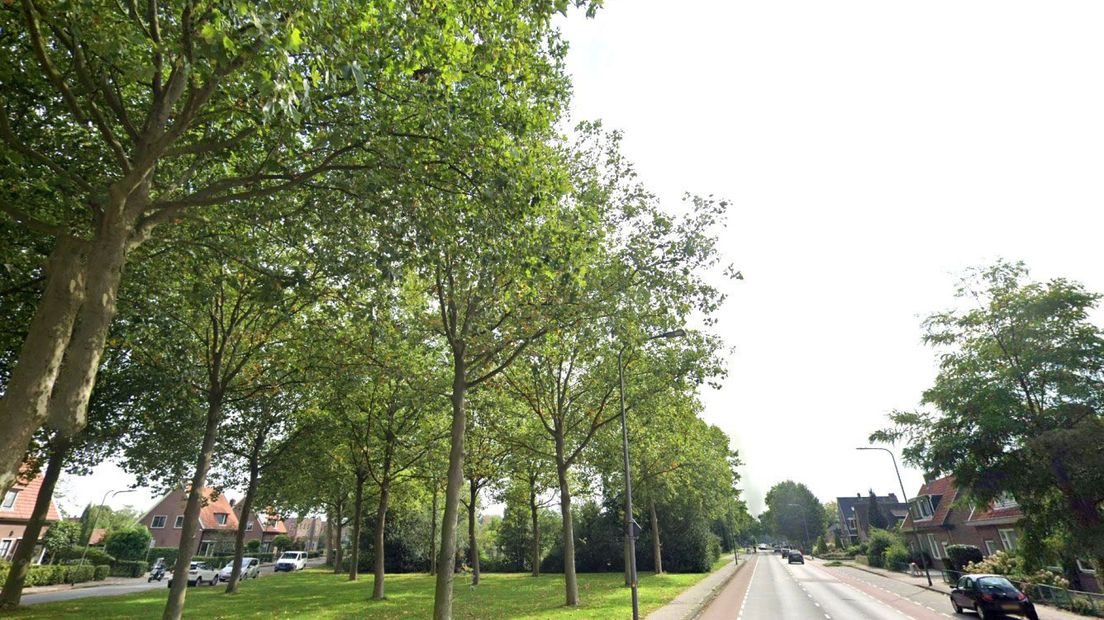Harderwijkerweg Dieren