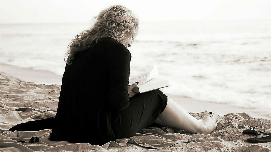 Op het strand lezen over de Drentse natuur (Rechten: Pixabay)