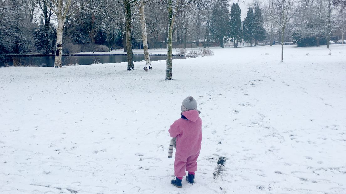 Park Oog in Al.
