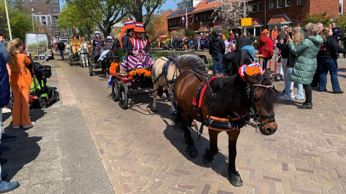 Paardenringsteken in Pijnacker