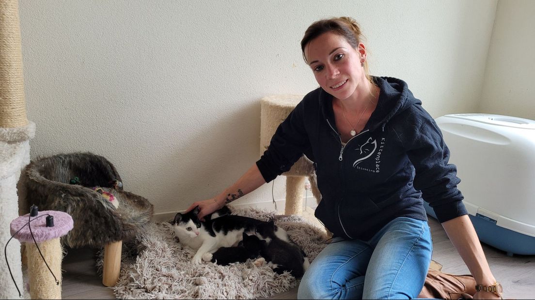 Elisah Vente aait moederpoes Momo