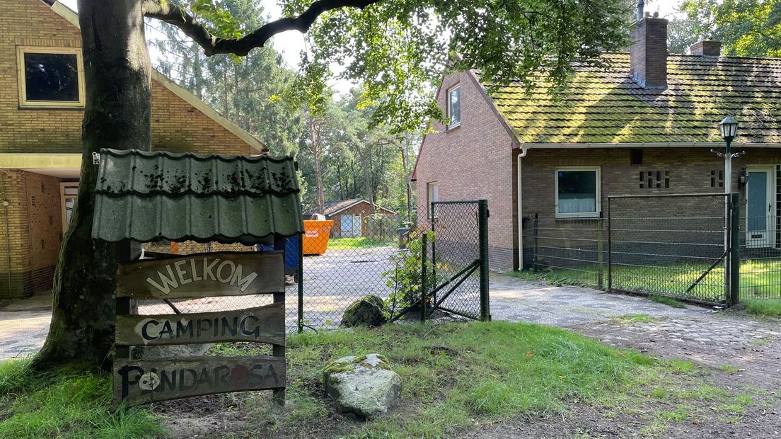 Panda Rosa in Steenbergen