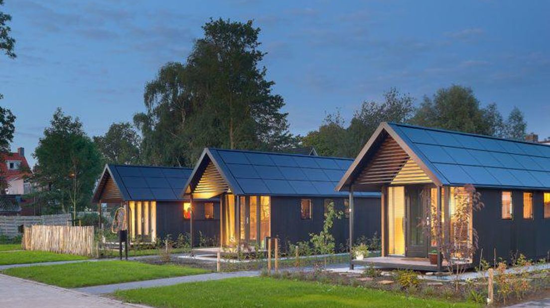 Zogenoemde tiny houses (Rechten: Mill Home)