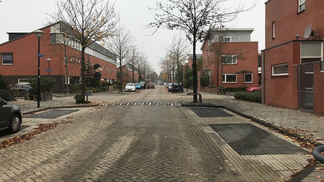 De buurt wordt al langer geteisterd door auto-inbraken.