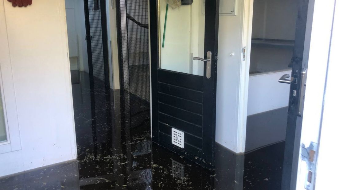 Ook het quarantainegebouw is ondergelopen