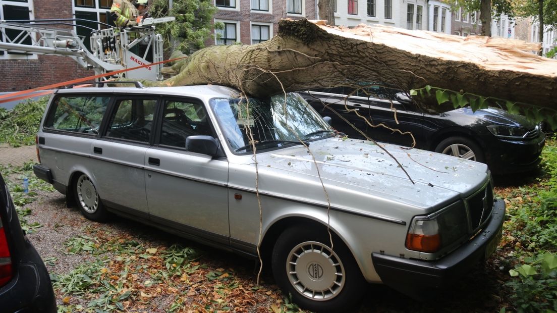 Aan het Molenwater in Middelburg is vanochtend een boom omgewaaid. De boom viel op een auto en tegen de gevel van een woning.