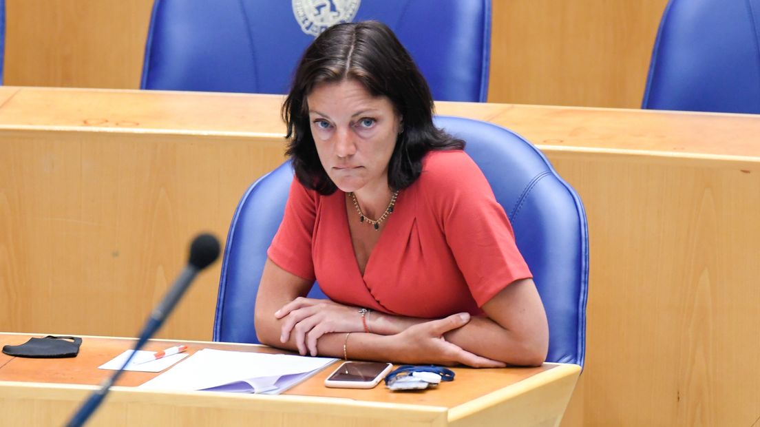 Sandra Beckerman in de Tweede Kamer