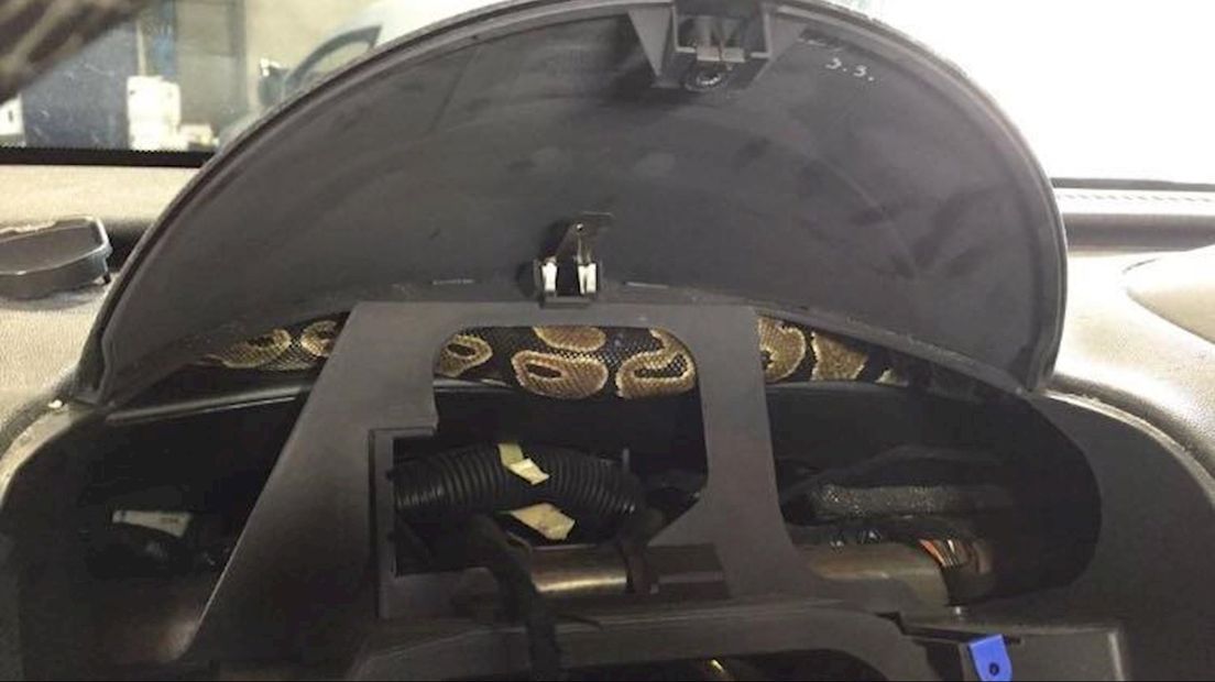 Python gevonden in dashboardkastje