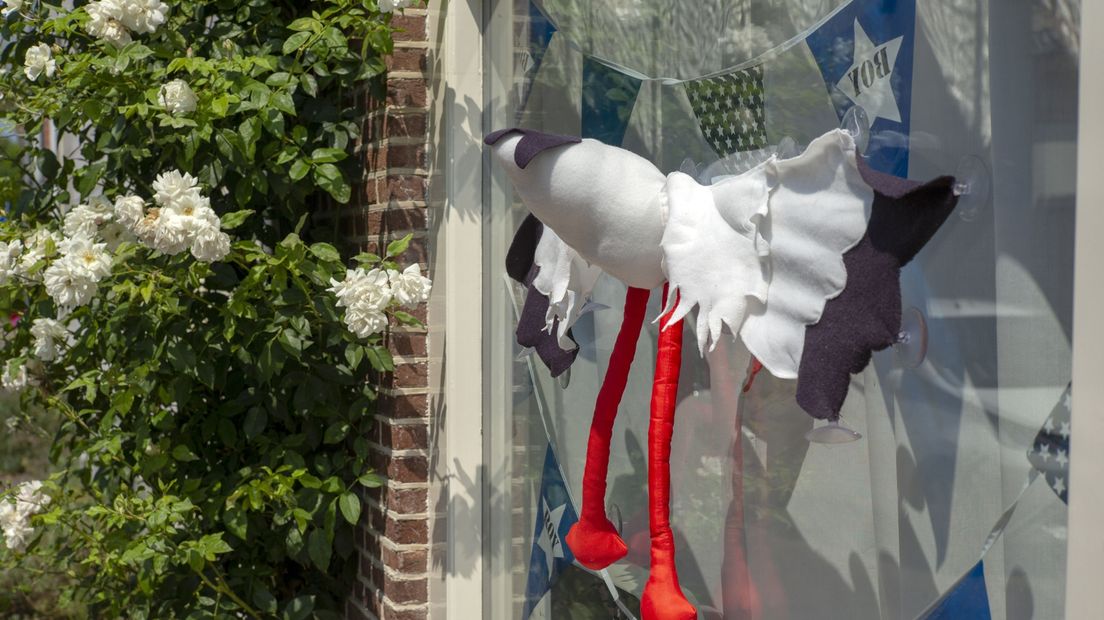 Meer vrouwen zijn thuis bevallen tijdens de coronapandemie